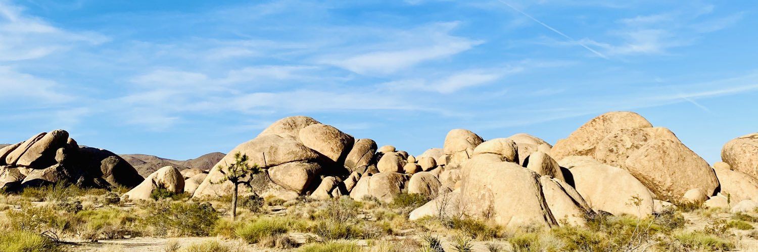 RoslynRN's profile banner image