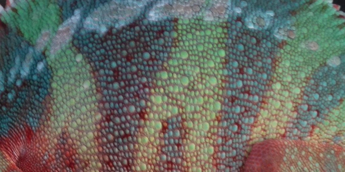TheRealKSeb's profile banner image
