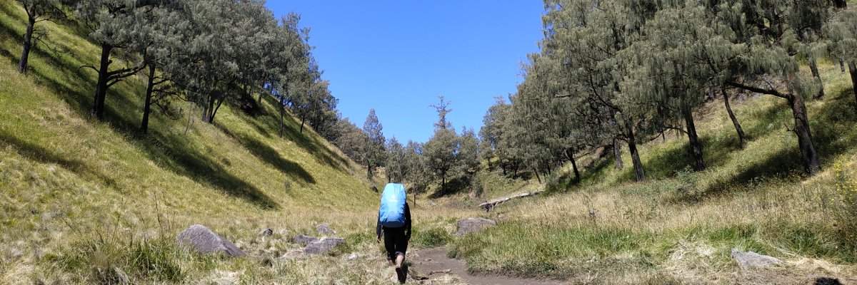 jarepuat's profile banner image