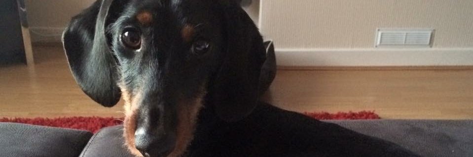 Finlay83's profile banner image