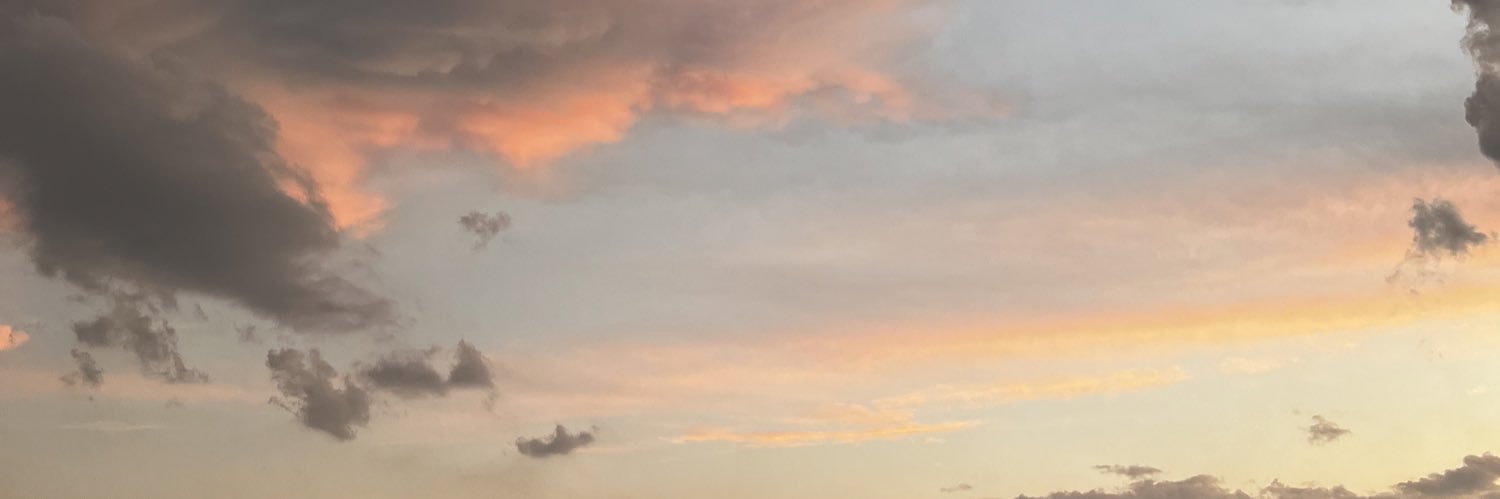 stefelino's profile banner image