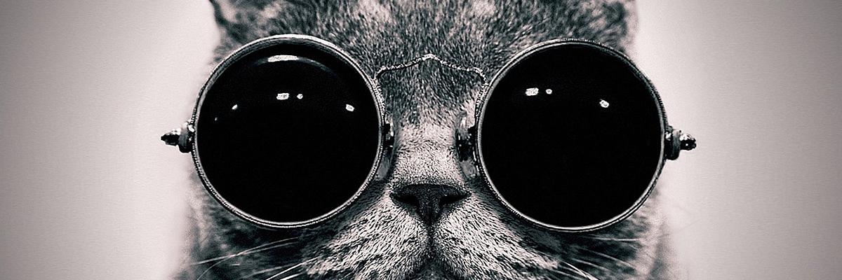 LacNirdla's profile banner image