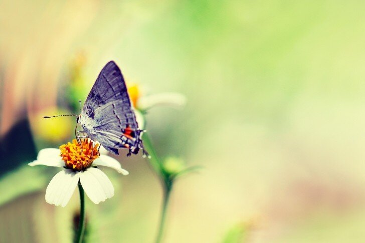 ftoo_26's profile banner image
