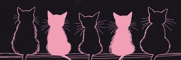 DannyChriis's profile banner image