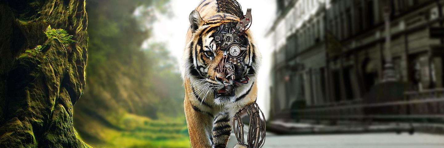 _mrangels's profile banner image