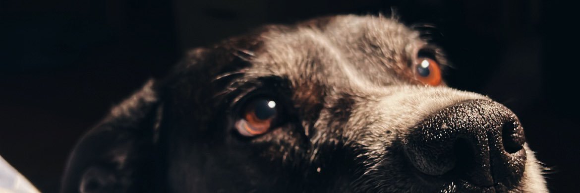 iancurrie7's profile banner image