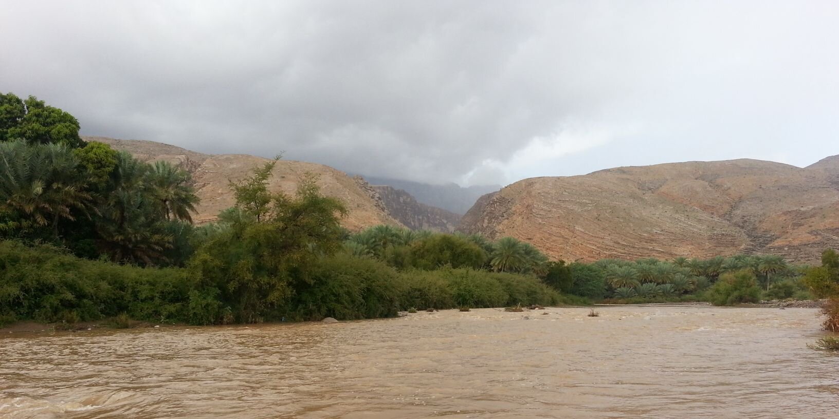 سعيد بن الذيب banner