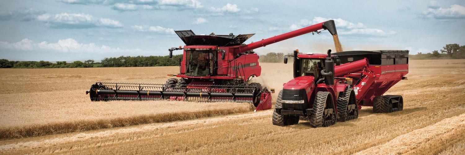 Callan Jaensch banner