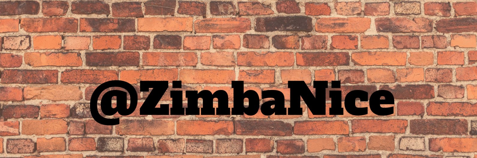 ZimbaNice263's profile banner image