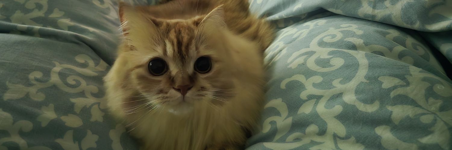 りりぃ🍨 banner