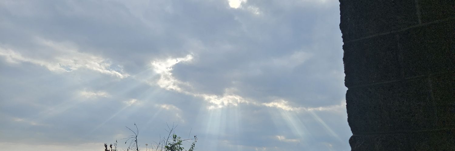 SweetNikkaJay's profile banner image