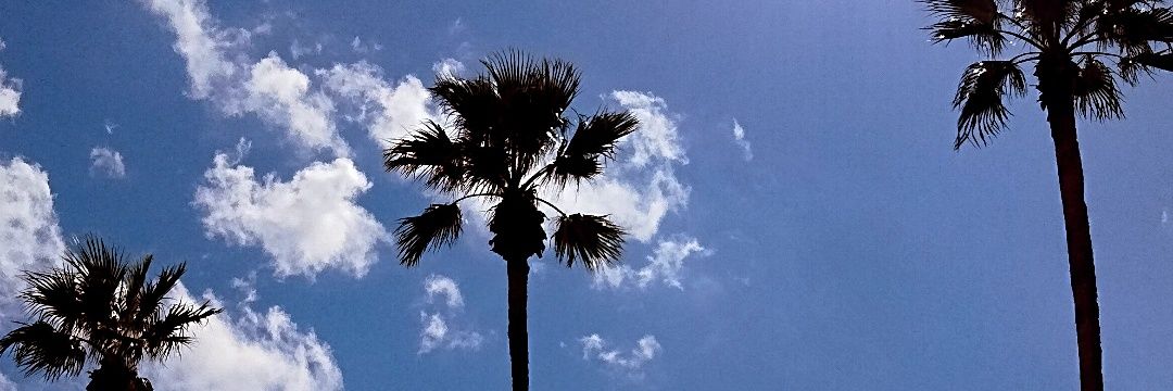 chrxsta_'s profile banner image