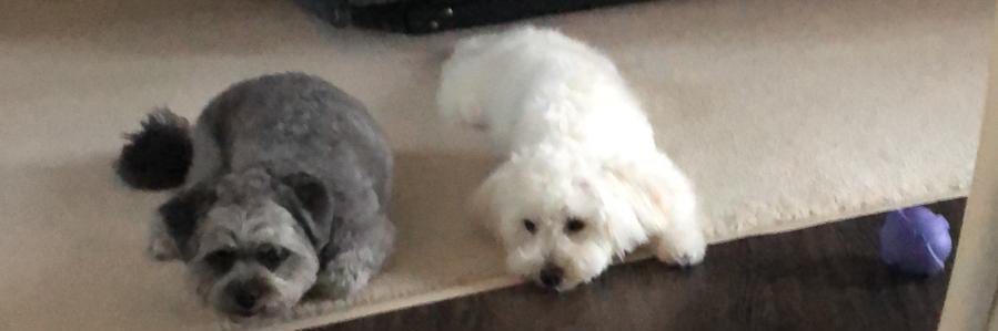 jamielee604's profile banner image