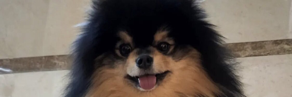 HARUWITH_'s profile banner image