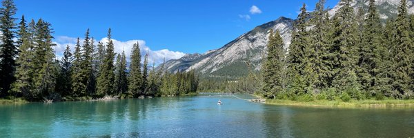 MatthiasWild Profile Banner