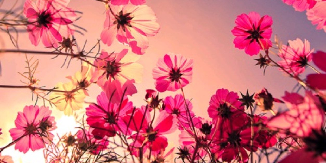 BrookeRaymer's profile banner image