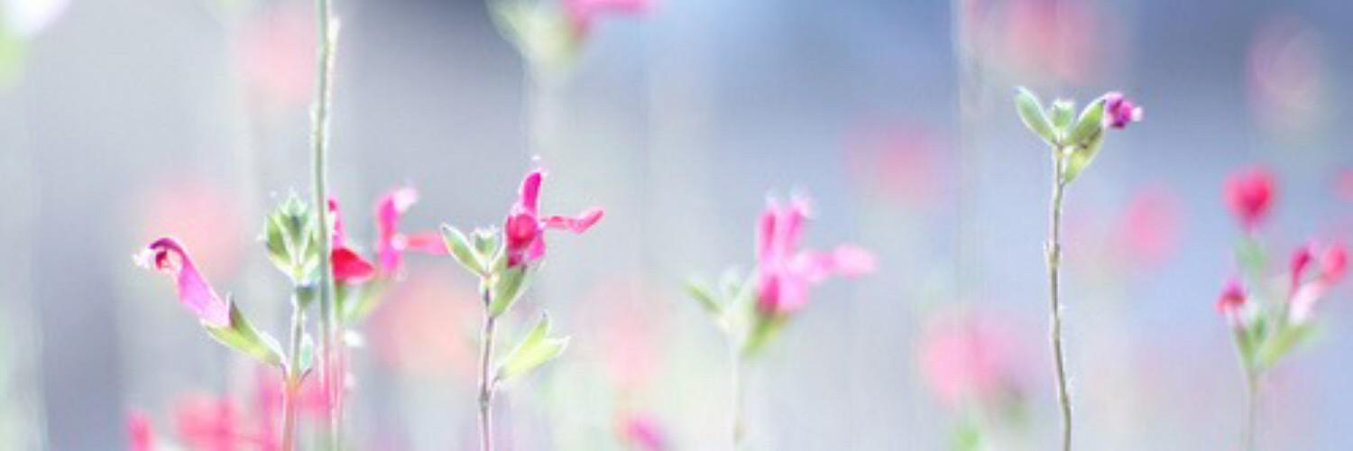 maryom93's profile banner image