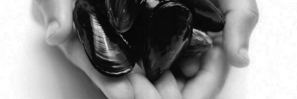 FishtalesAU Profile Banner