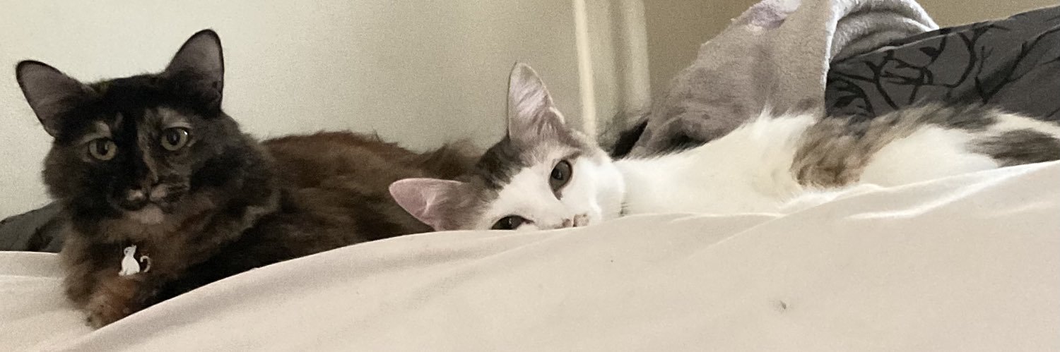 gracefullily_'s profile banner image