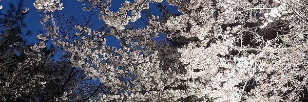 Markingocom's profile banner image