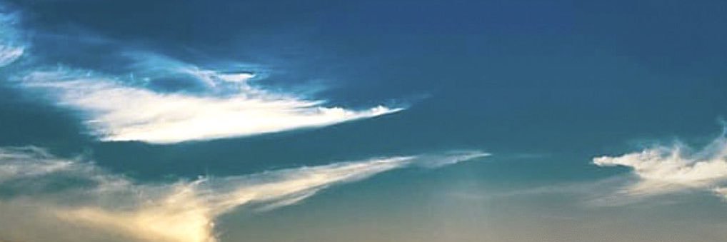 محمد آل شملان banner