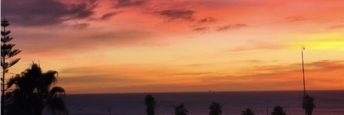 MariaMidi's profile banner image