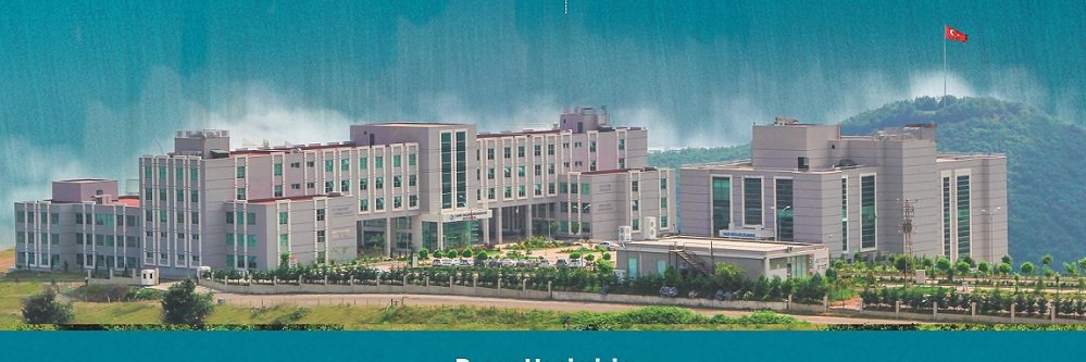 basariuni's profile banner image