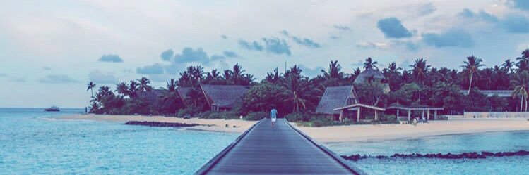 mansi2903's profile banner image