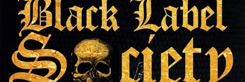 sdmf666's profile banner image