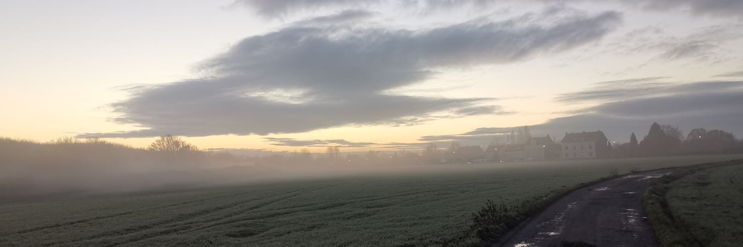 wahnwelt's profile banner image