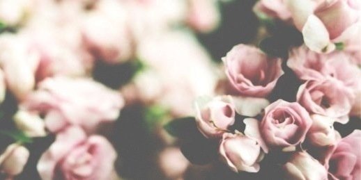 staarikovaa's profile banner image