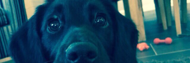 Bezzina77's profile banner image