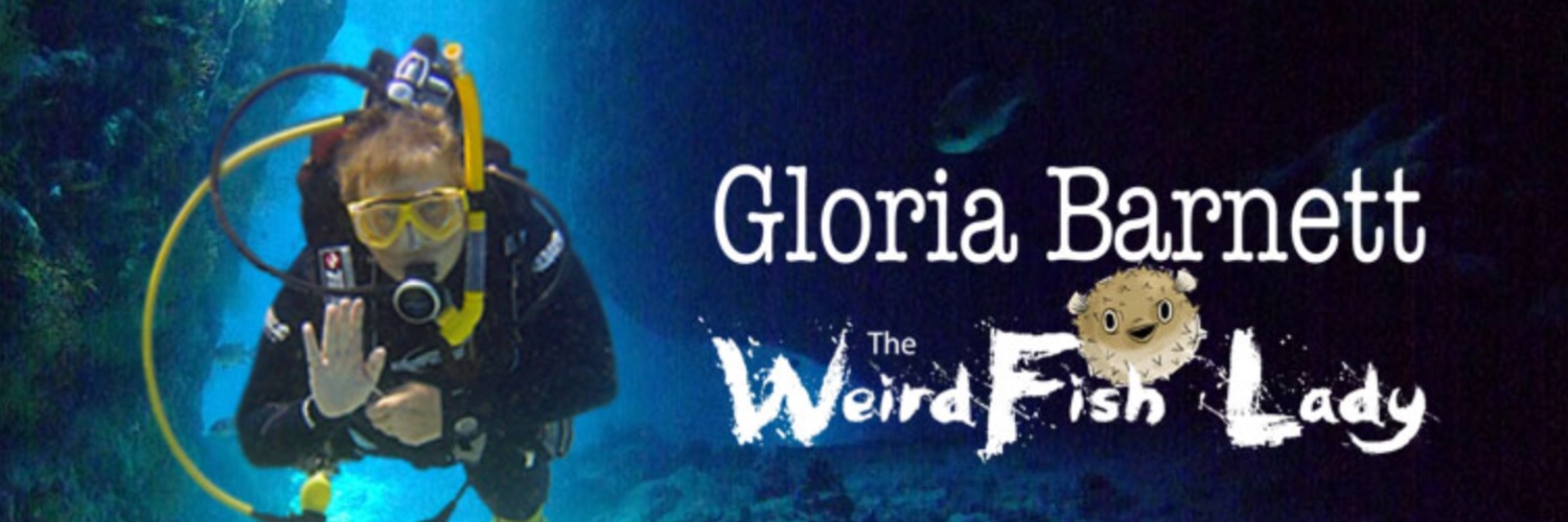 Gloria Barnett banner