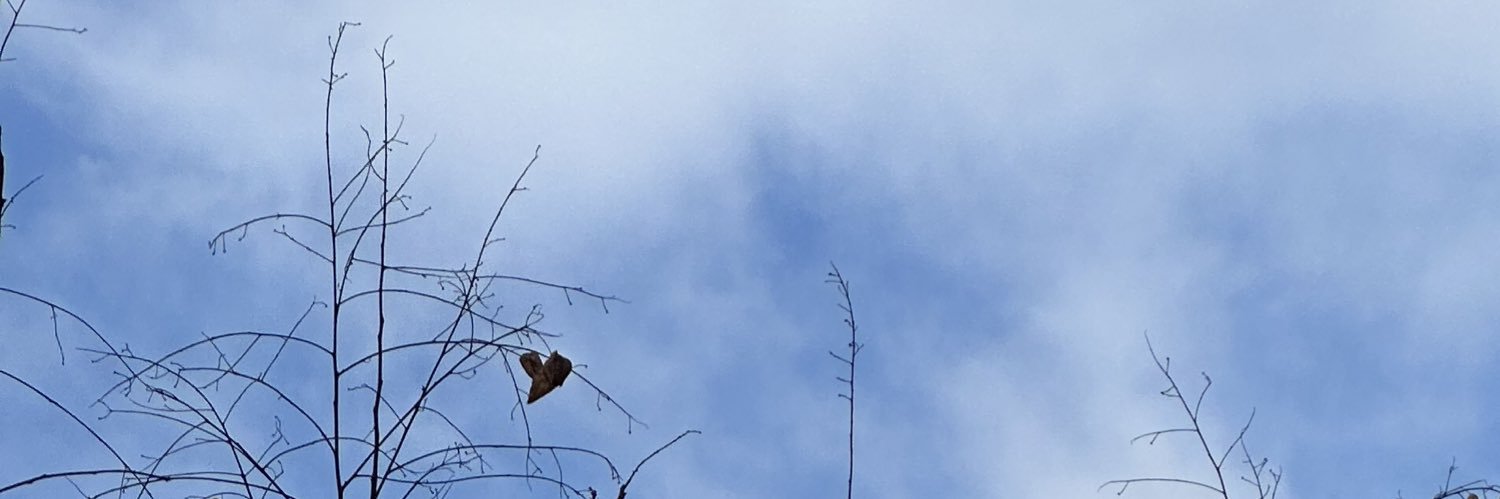 blancarodrigx's profile banner image