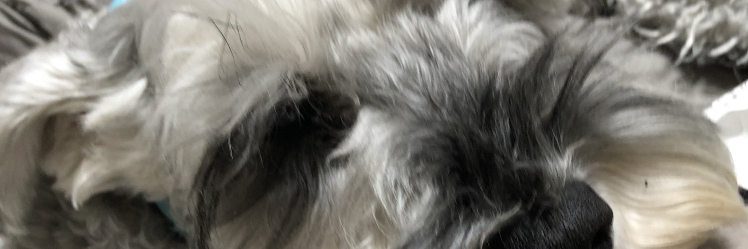 maroline73's profile banner image