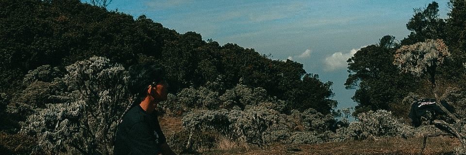 jihadisme's profile banner image