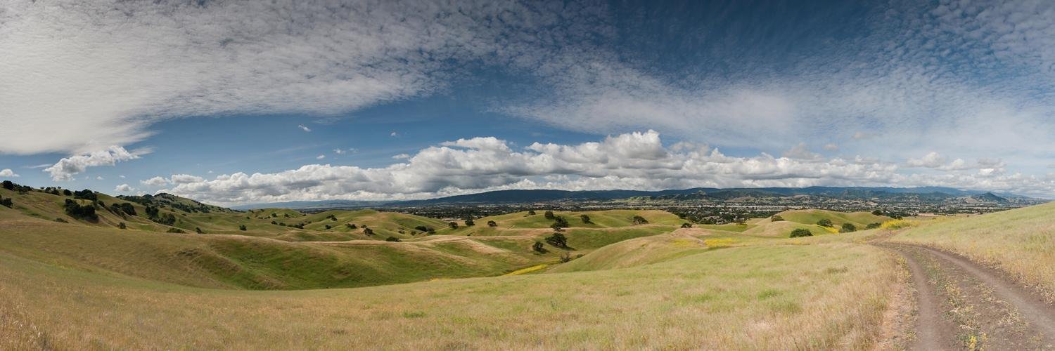 perryclarke's profile banner image