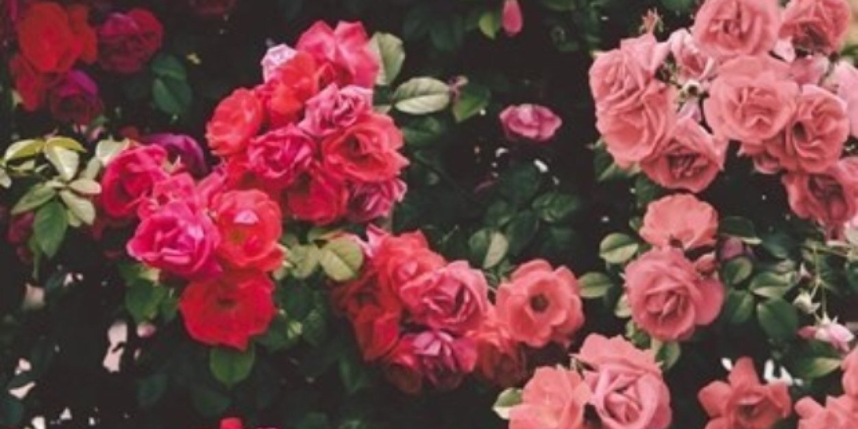 fatihrahma's profile banner image