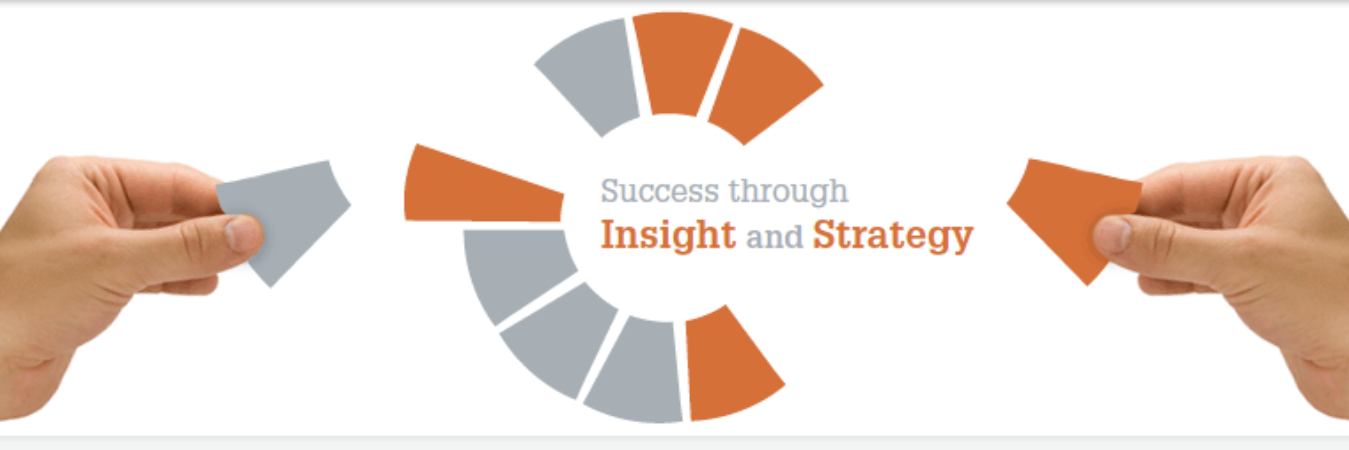 satoriinsight's profile banner image
