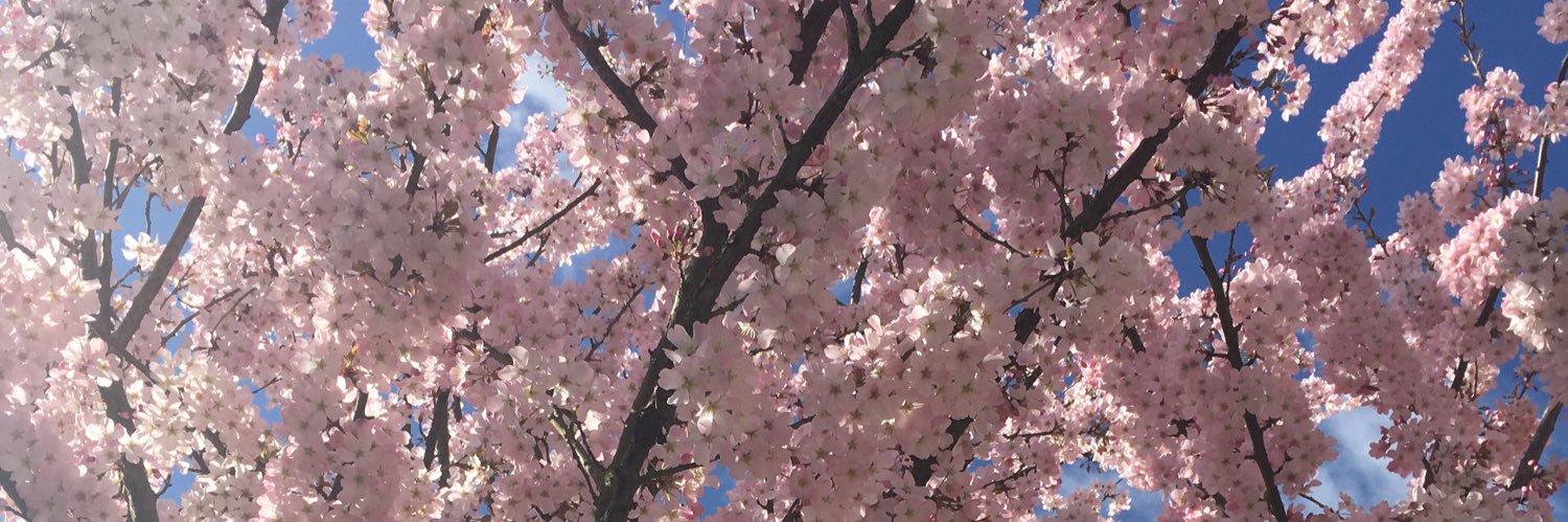 80Smb's profile banner image