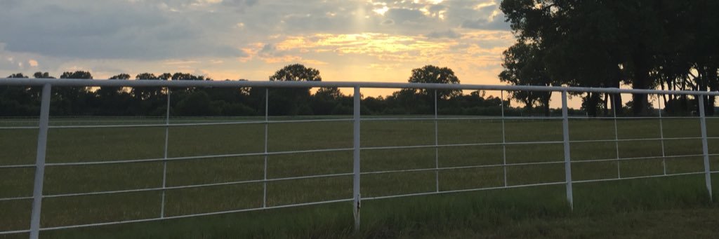 WillyGarzaa's profile banner image