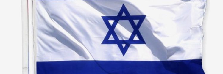 Dianne Harberink banner