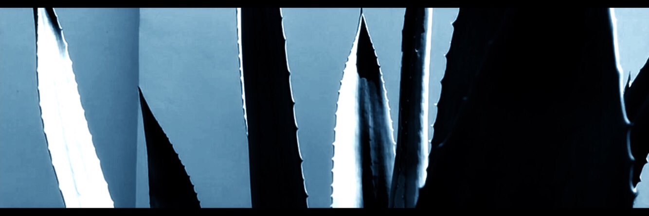 satoshitro2's profile banner image