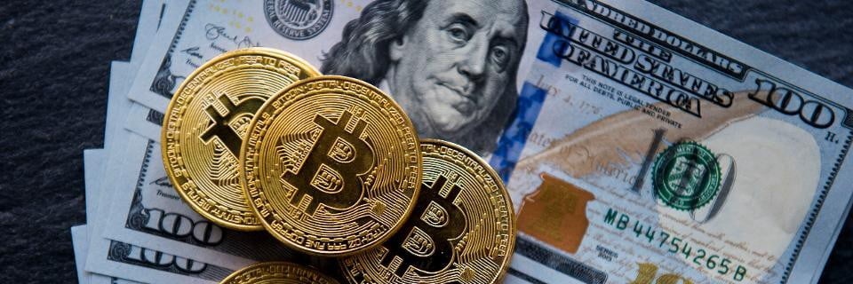 btc_blackbeard's profile banner image