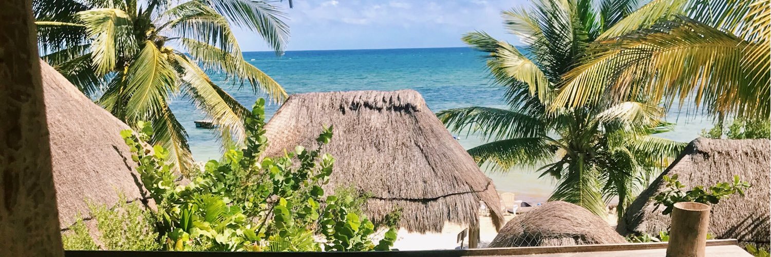 laurkatzz's profile banner image