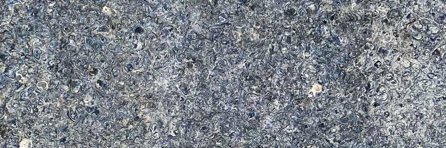 Andrew Norman banner