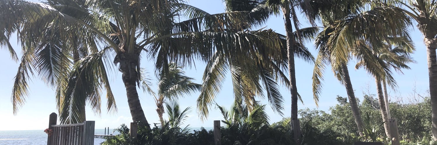 SavBratcher's profile banner image