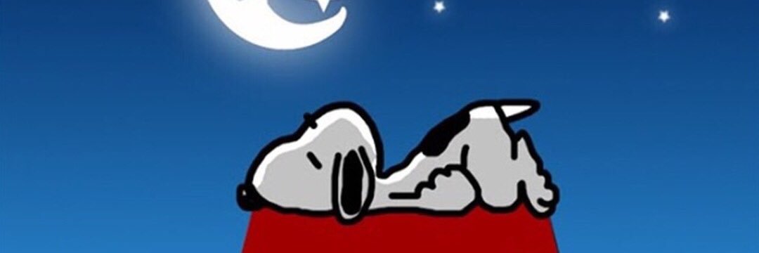 nw_stsn's profile banner image