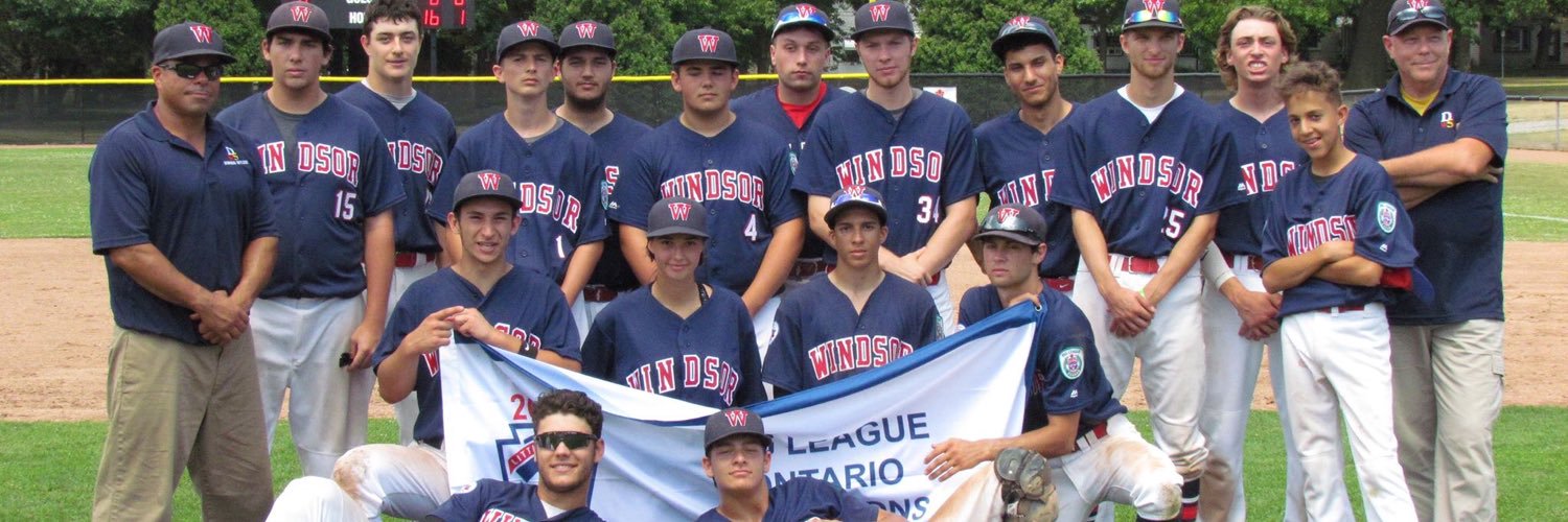 District 5 Little League banner