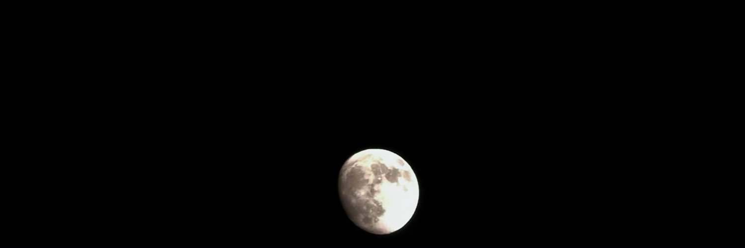 _1l01's profile banner image